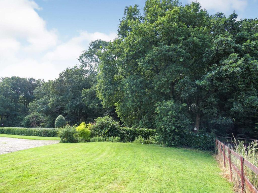 Woodland House B & B ウィンボーン・ミンスター エクステリア 写真